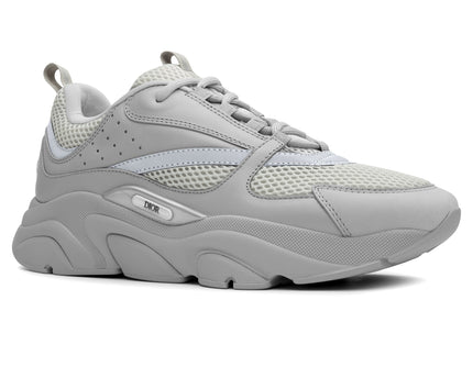Dior B22 Grey