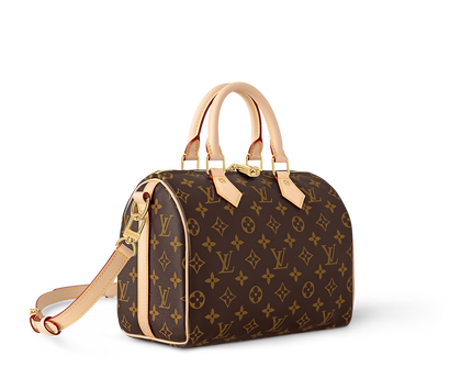 Sac Speedy Bandoulière 25 - LV - Classic