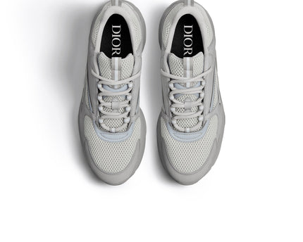 Dior B22 Grey