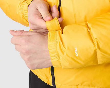 Summit Gold Retro Nuptse 700 Pour Homme